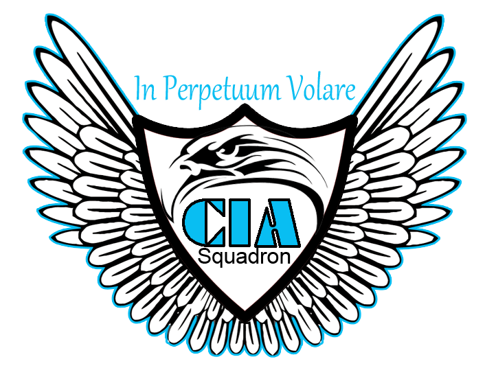 CIA Squad MSFS community   